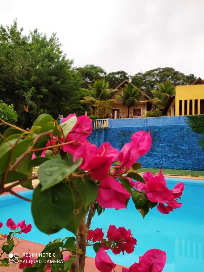 Villa Guaramiranga-ce Chalé do Rei Extérieur photo
